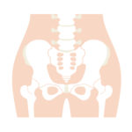 腰痛改善　骨盤調整