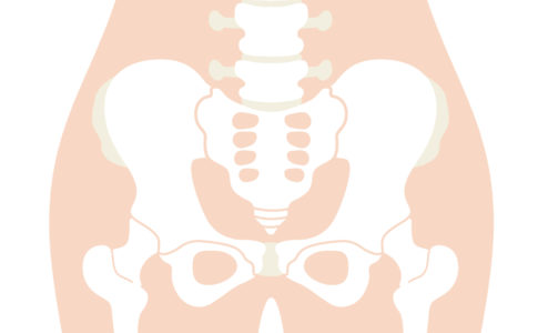 腰痛改善　骨盤調整
