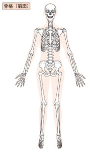 骨格　侍トレーナーズジャパン整体院